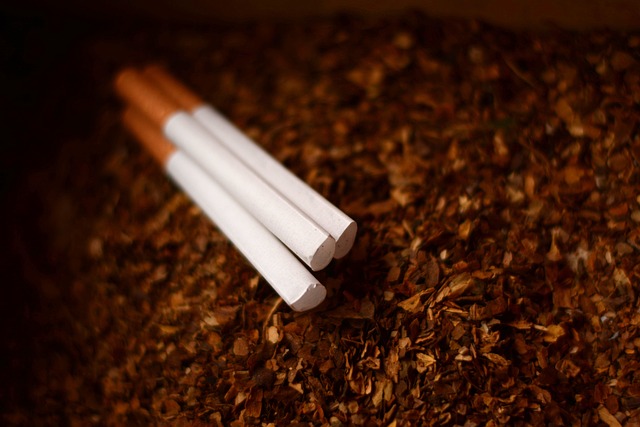 Bryd vanen: Sådan overvinder du trangen til cigaretter og lever sundt